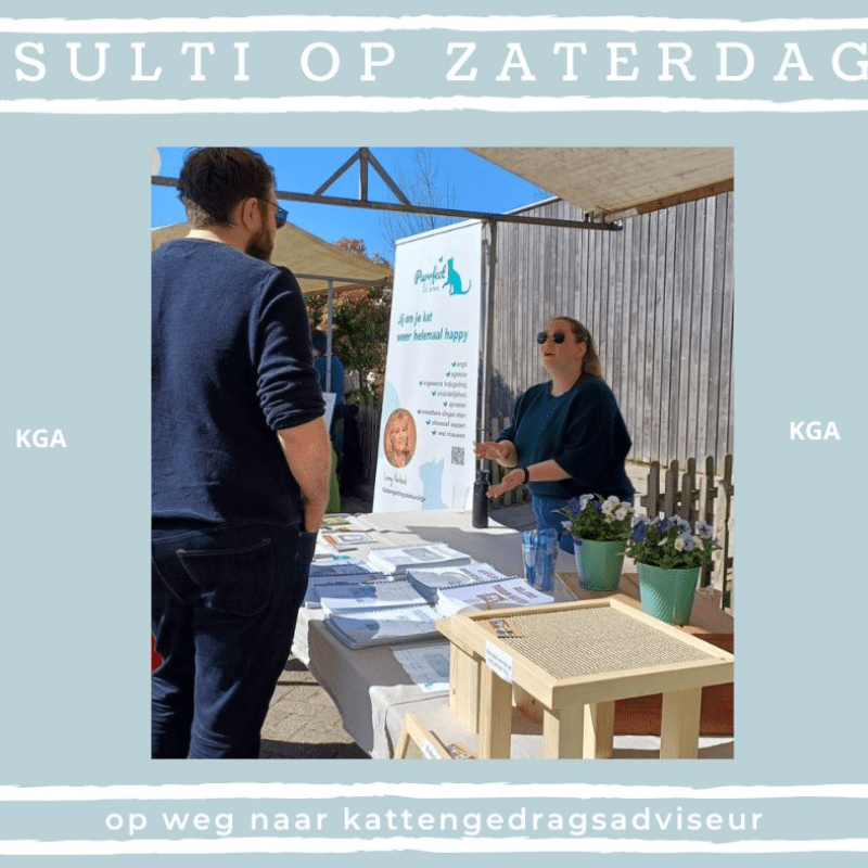 Afbeeldingen website Kattengedragadviesbureau 800 800