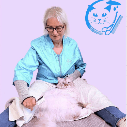 Kattenoppas Ingrid Nuijten met een witte kat